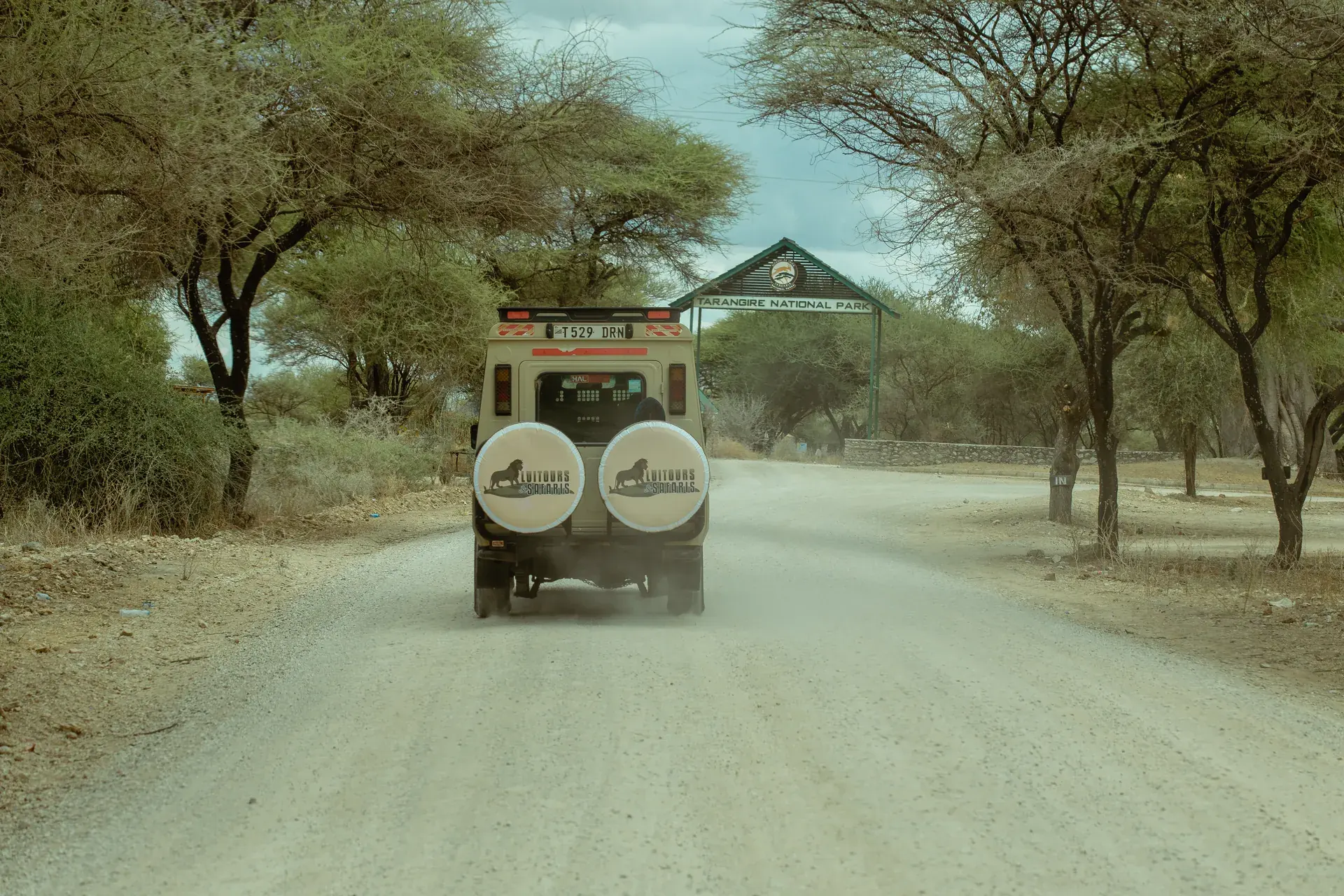Wildlife in an East African safari landscape